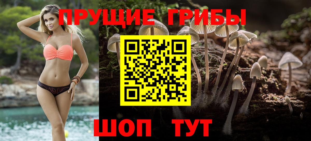Псилоцибиновые грибы мухоморы Грязи