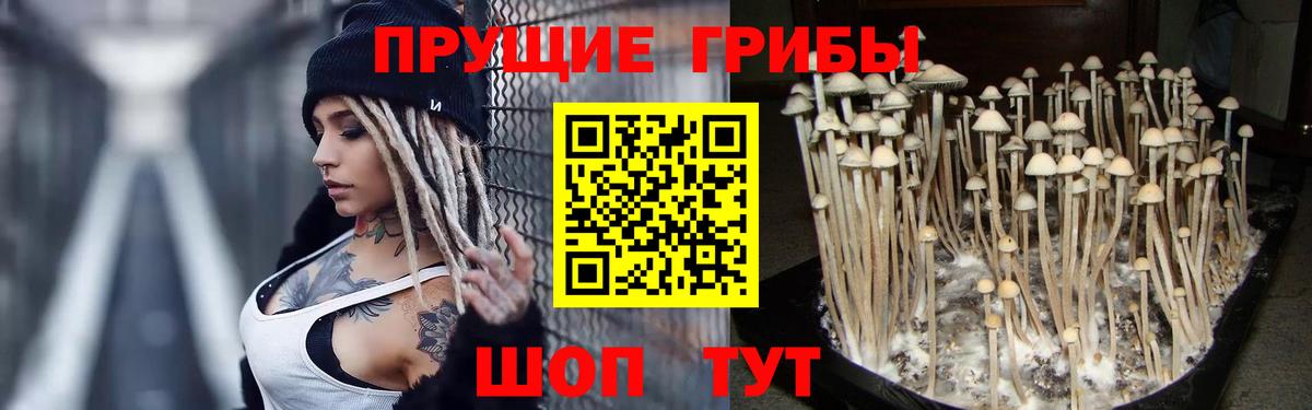 Псилоцибиновые грибы MAGIC MUSHROOMS  Вход с VPN  Грязи 